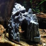 Aquarium Decor Halloween 4