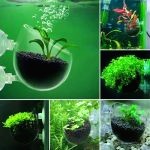 Aquarium Pot Decoration 4