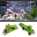 Decor Aquarium Mousse 5