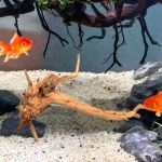 Decor Bois Pour Aquarium 5
