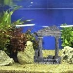 Decoration Aquarium Antique