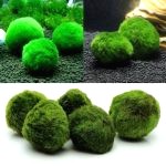 Decoration Aquarium Boule