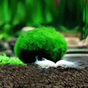 Decoration Aquarium Boule 3