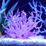 Decoration Aquarium Corail 2