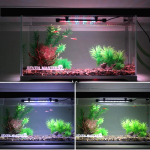Decoration Aquarium Lumineux 2