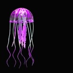 Decoration Aquarium Meduse 4