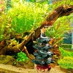 Decoration De Noel Pour Aquarium 4