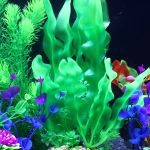 Kit Decoration Aquarium 9