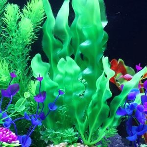 Kit Decoration Aquarium 9