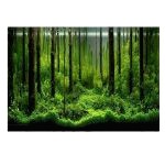 Plaque Decor Aquarium