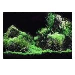Plaque Decor Aquarium 2
