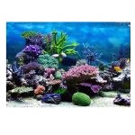 Plaque Decor Aquarium 3
