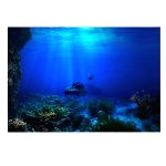 Plaque Decor Aquarium 4